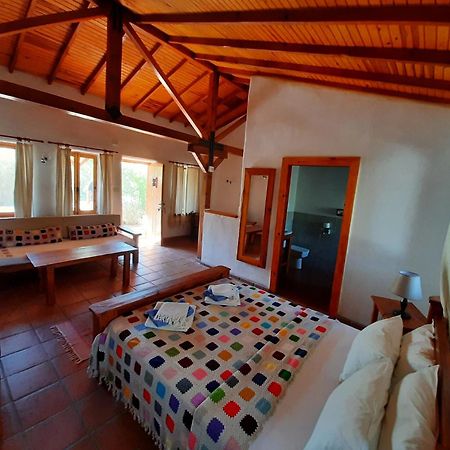 Ionia Guest House Aydın Dış mekan fotoğraf