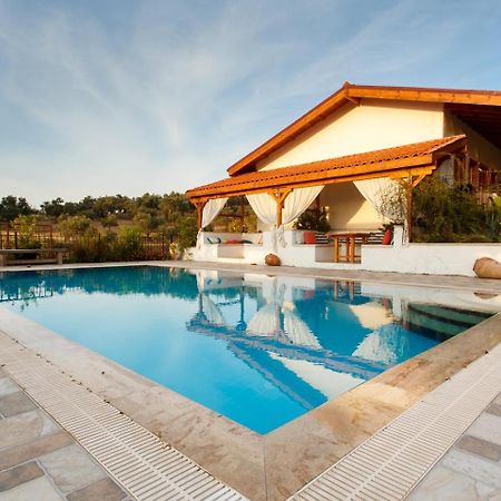 Ionia Guest House Aydın Dış mekan fotoğraf