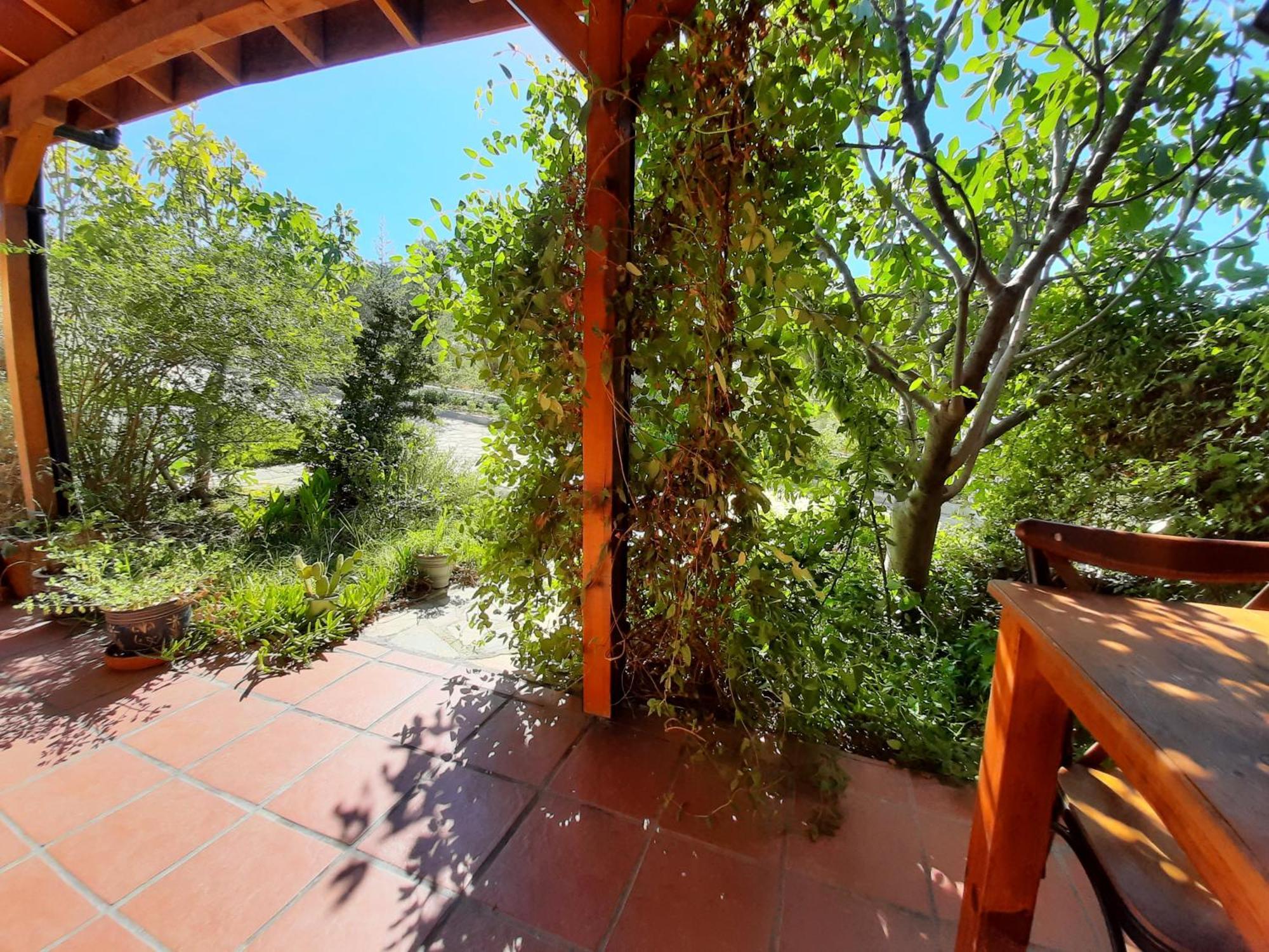Ionia Guest House Aydın Dış mekan fotoğraf
