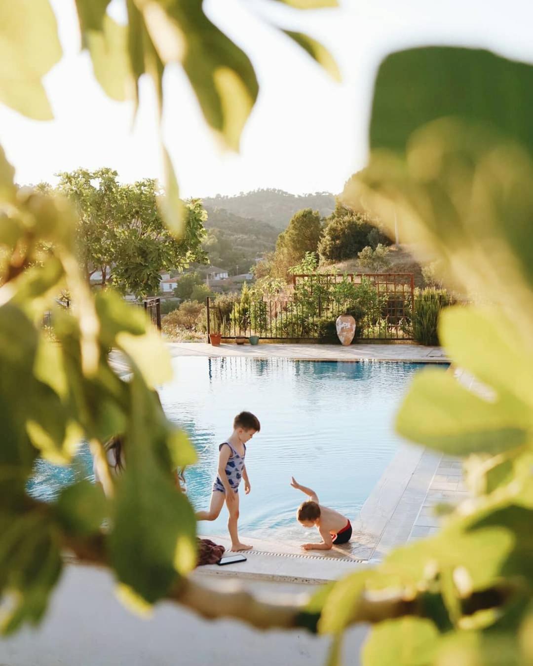 Ionia Guest House Aydın Dış mekan fotoğraf