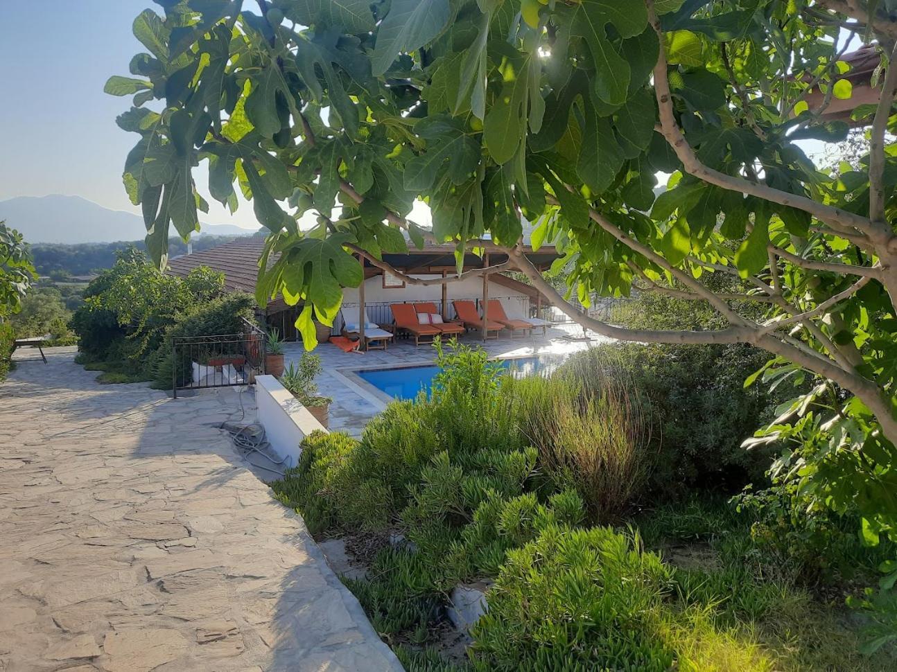 Ionia Guest House Aydın Dış mekan fotoğraf