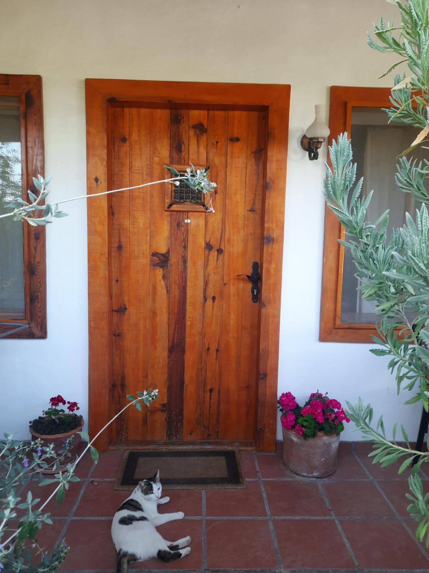 Ionia Guest House Aydın Dış mekan fotoğraf