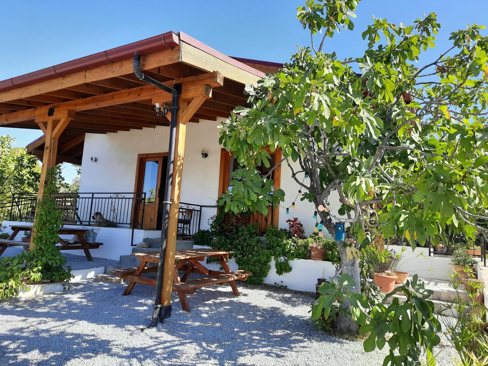 Ionia Guest House Aydın Dış mekan fotoğraf