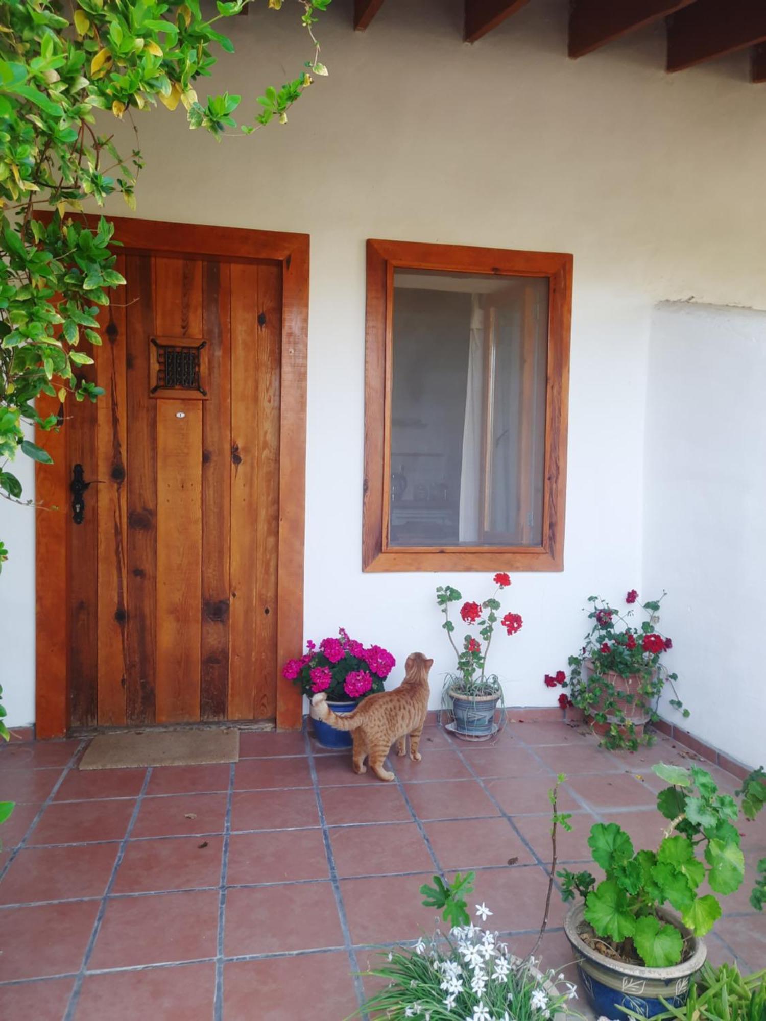 Ionia Guest House Aydın Dış mekan fotoğraf