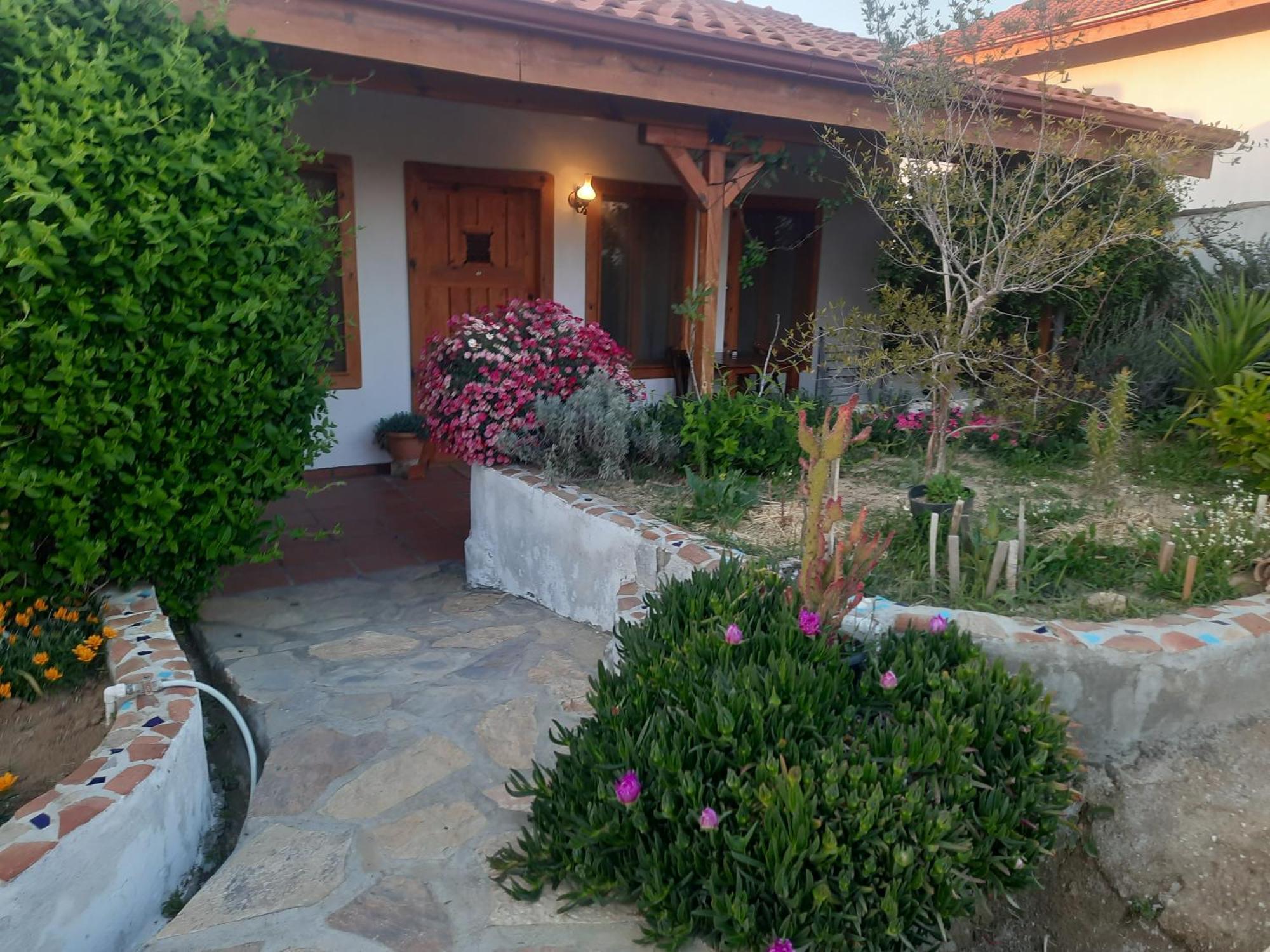 Ionia Guest House Aydın Dış mekan fotoğraf