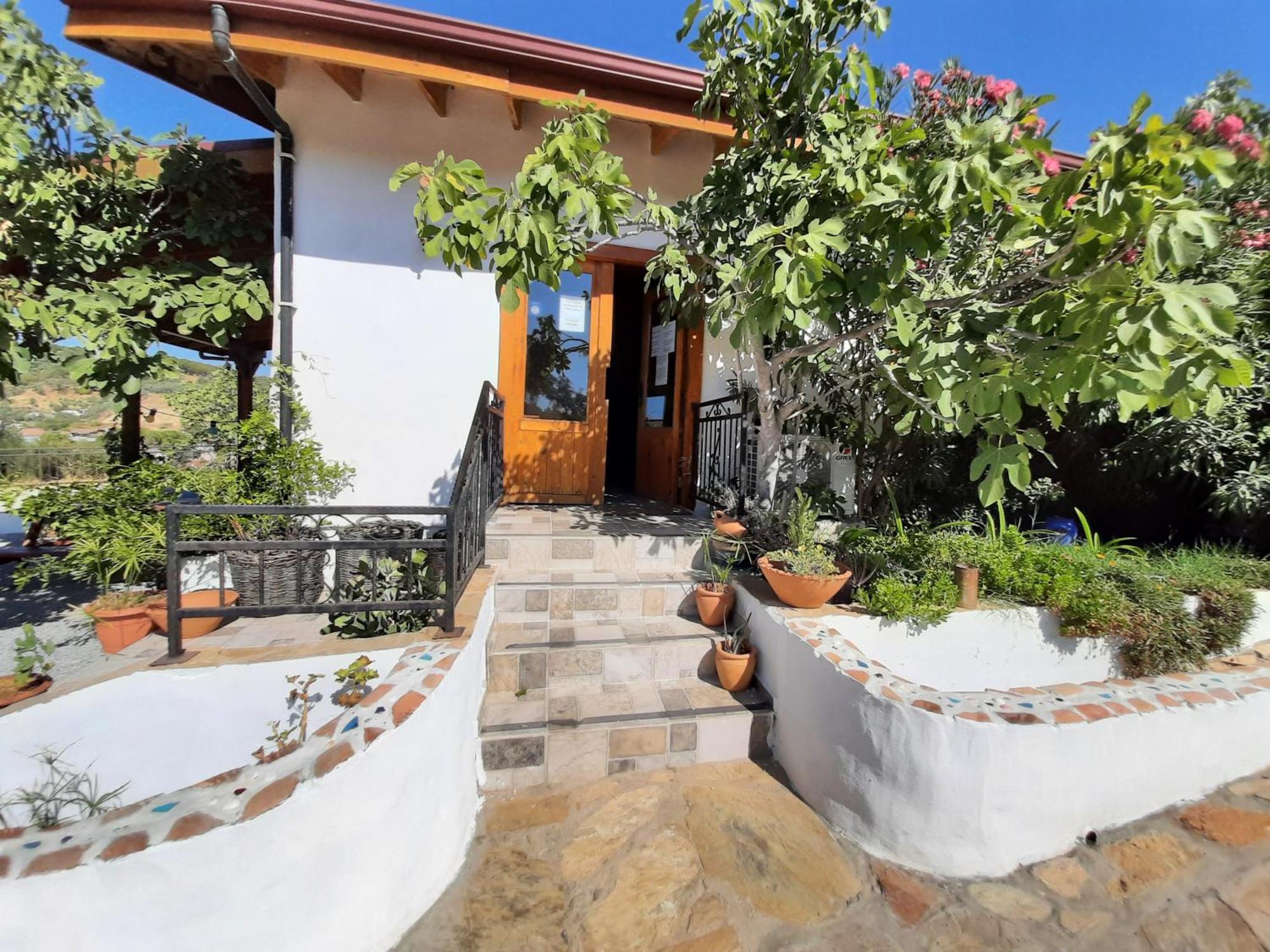 Ionia Guest House Aydın Dış mekan fotoğraf