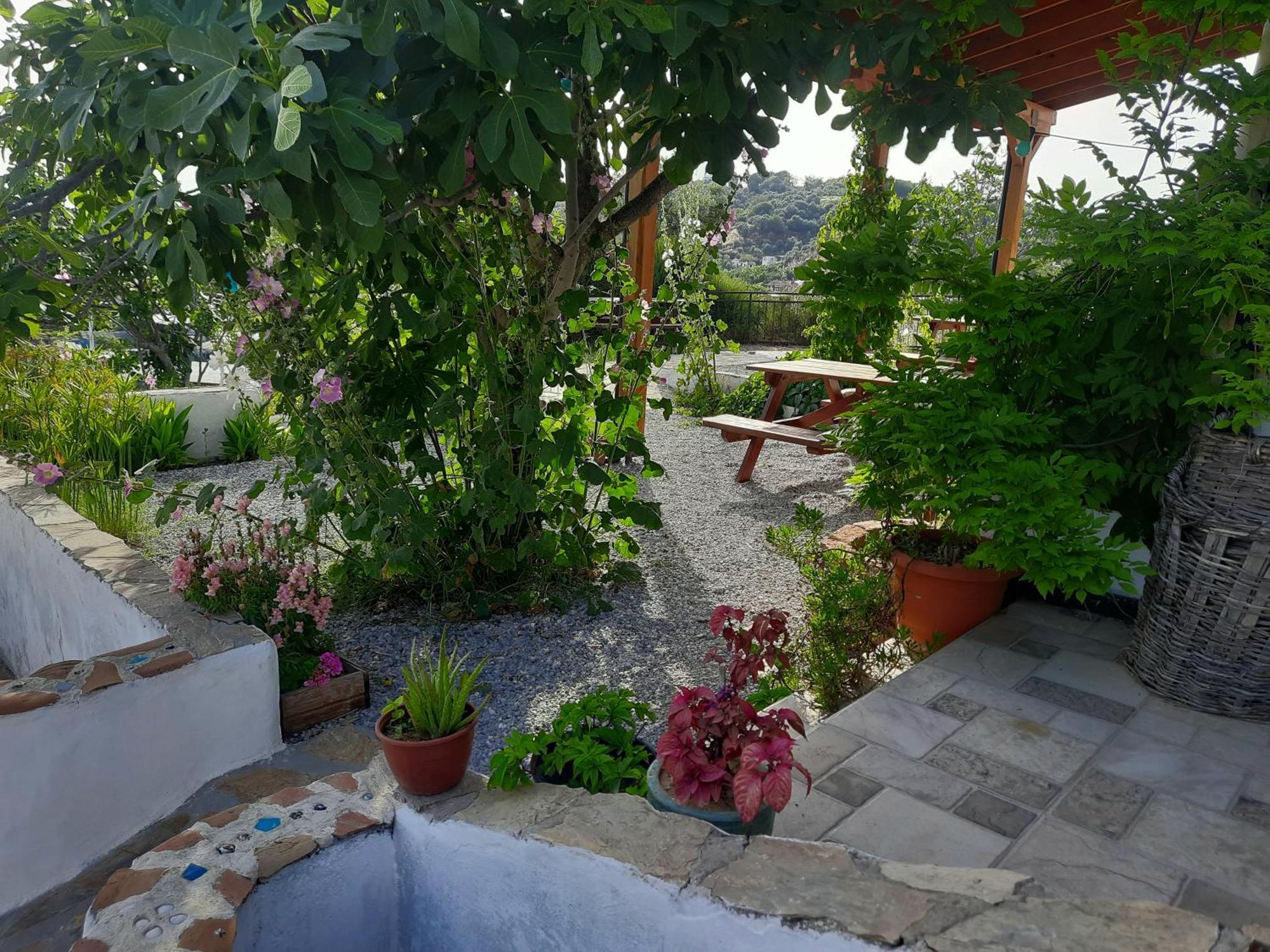 Ionia Guest House Aydın Dış mekan fotoğraf