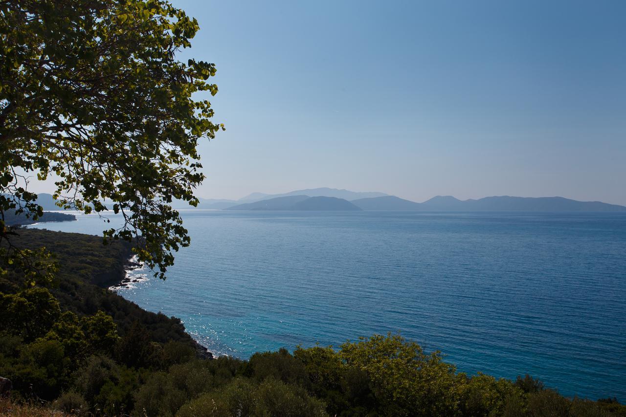 Ionia Guest House Aydın Dış mekan fotoğraf