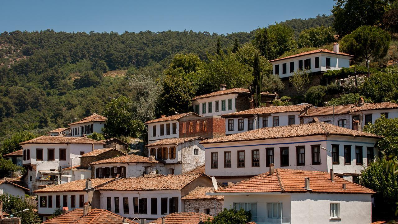 Ionia Guest House Aydın Dış mekan fotoğraf