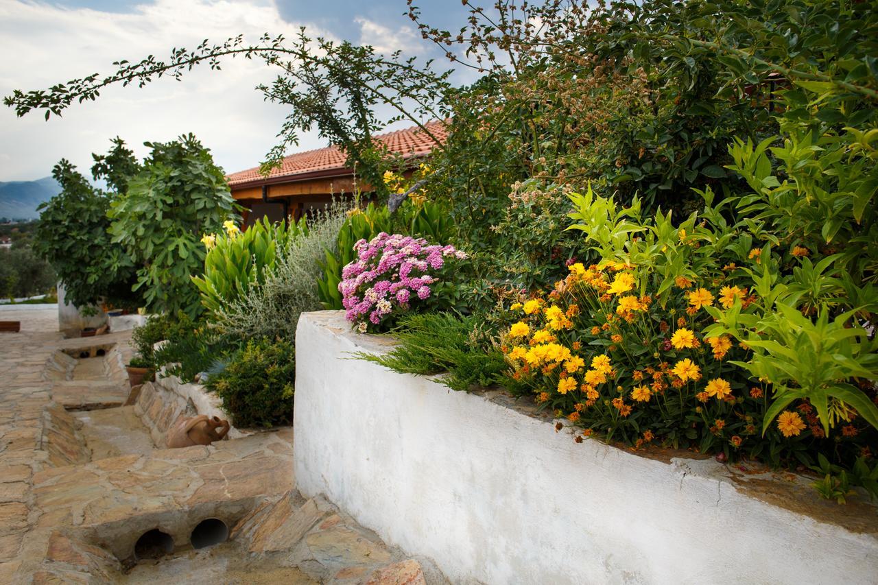 Ionia Guest House Aydın Dış mekan fotoğraf