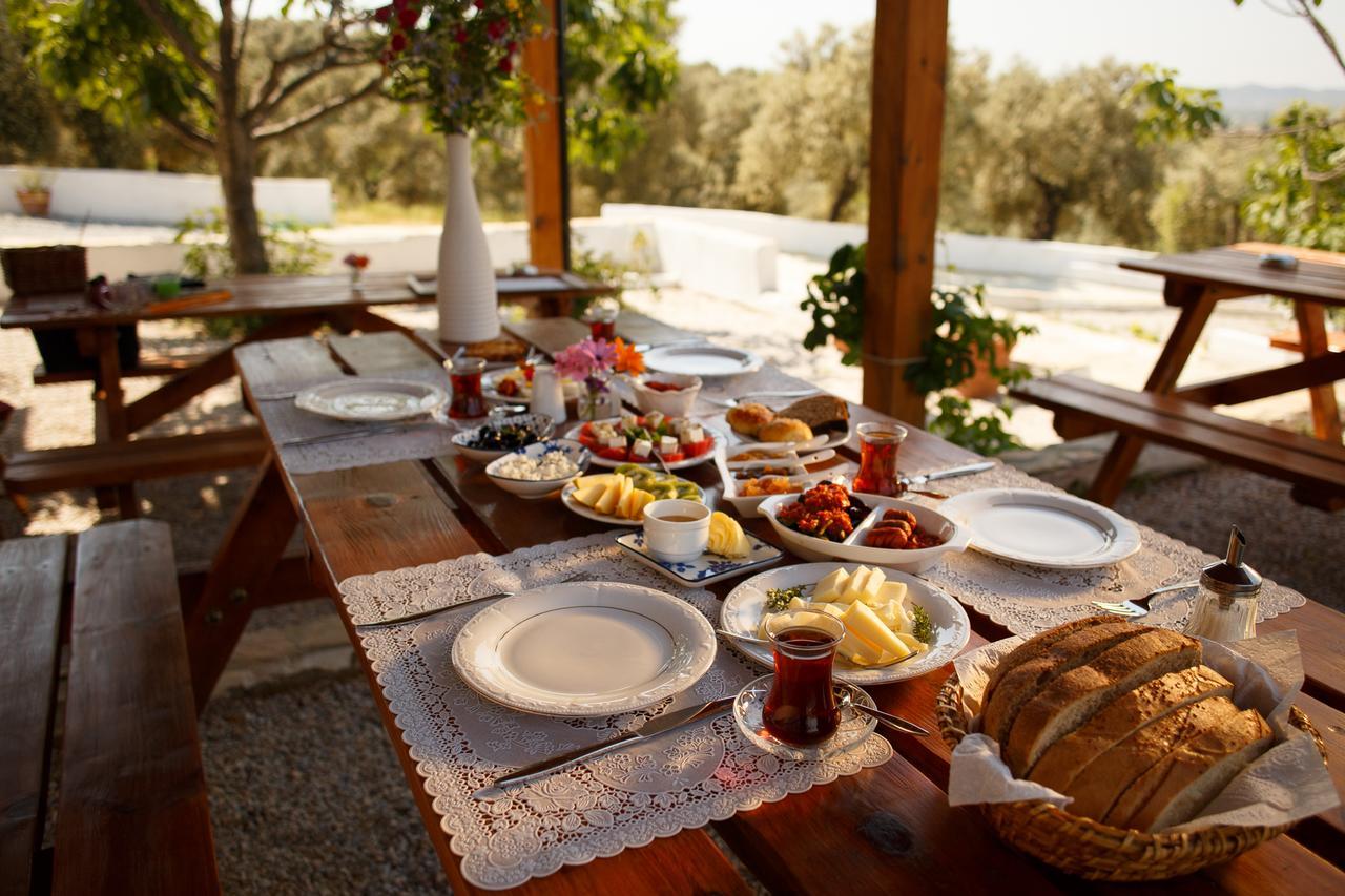 Ionia Guest House Aydın Dış mekan fotoğraf