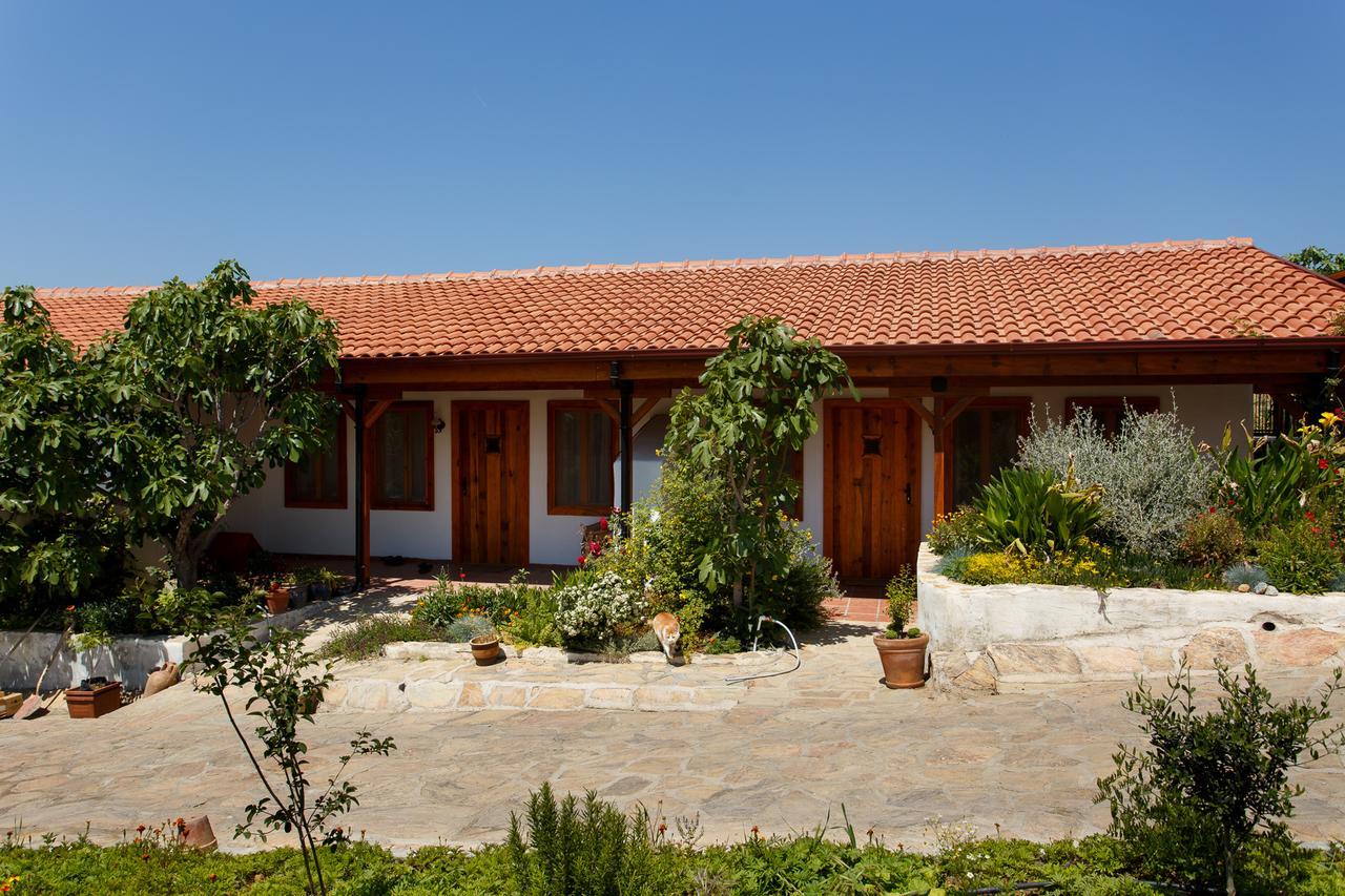 Ionia Guest House Aydın Dış mekan fotoğraf